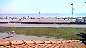 Бургас времето уеб камера 'Северен' плаж морски бряг плажна ивица Черно море от 'Уиндсърф Клуб' Free-WebCamBG