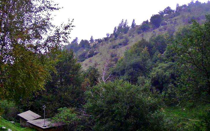 Хижа 'Равнец' (1250 м. н.в.) времето уеб камера местност 'Чобански егрек', Стара планина над Карлово Free-WebCamBG
