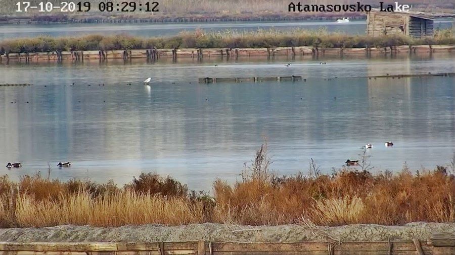 Бургас времето уеб камера резерват 'Атанасовско' езеро между кварталите 'Изгрев' и 'Сарафово', резерват за птици и солодобив, kamerite Free-WebCamBG